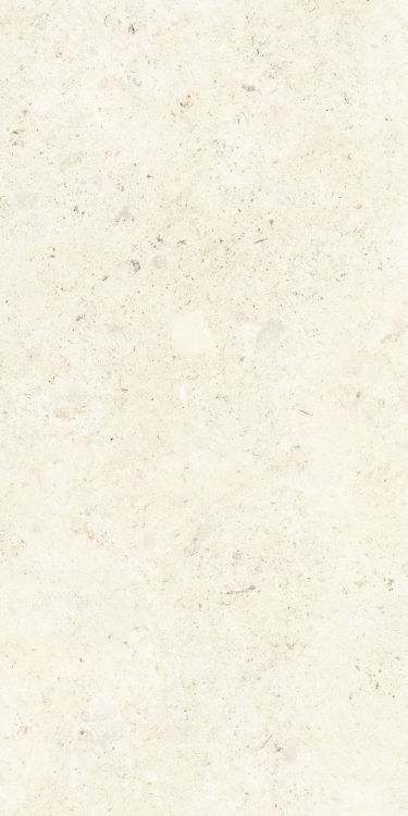 Lightstones.03 Shell Soft Touch 12 x 24